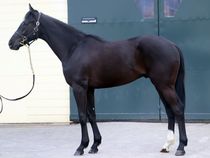 ����å��ǳ��������ɽ�����ޤ�