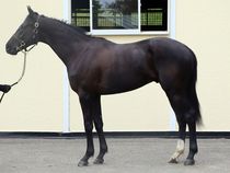 ����å��ǳ��������ɽ�����ޤ�