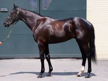 ����å��ǳ��������ɽ�����ޤ�