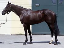 ����å��ǳ��������ɽ�����ޤ�