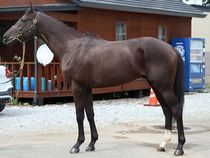 ����å��ǳ��������ɽ�����ޤ�