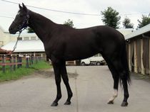 ����å��ǳ��������ɽ�����ޤ�