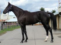 ����å��ǳ��������ɽ�����ޤ�