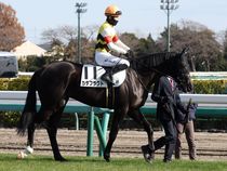 ����å��ǳ��������ɽ�����ޤ�