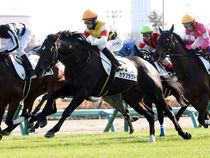 ����å��ǳ��������ɽ�����ޤ�