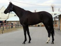 ����å��ǳ��������ɽ�����ޤ�