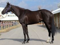 ����å��ǳ��������ɽ�����ޤ�