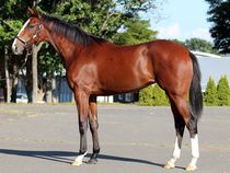 ����å��ǳ��������ɽ�����ޤ�