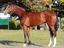 ����å��ǳ��������ɽ�����ޤ�