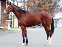 ����å��ǳ��������ɽ�����ޤ�