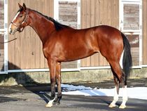 ����å��ǳ��������ɽ�����ޤ�