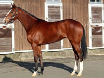 ����å��ǳ��������ɽ�����ޤ�