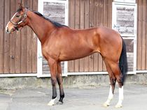 ����å��ǳ��������ɽ�����ޤ�