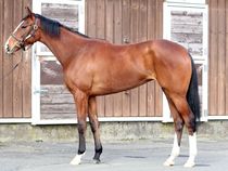 ����å��ǳ��������ɽ�����ޤ�