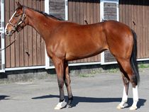 ����å��ǳ��������ɽ�����ޤ�