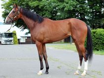 ����å��ǳ��������ɽ�����ޤ�