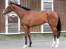 ����å��ǳ��������ɽ�����ޤ�