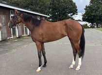 ����å��ǳ��������ɽ�����ޤ�