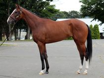 ����å��ǳ��������ɽ�����ޤ�