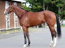 ����å��ǳ��������ɽ�����ޤ�