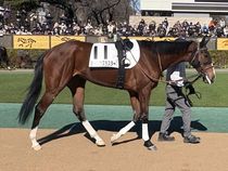 ����å��ǳ��������ɽ�����ޤ�