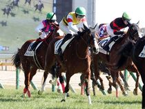 ����å��ǳ��������ɽ�����ޤ�