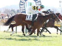 ����å��ǳ��������ɽ�����ޤ�