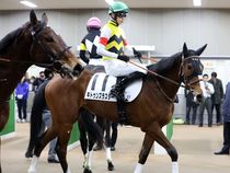 ����å��ǳ��������ɽ�����ޤ�