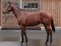 ����å��ǳ��������ɽ�����ޤ�