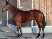 ����å��ǳ��������ɽ�����ޤ�