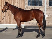 ����å��ǳ��������ɽ�����ޤ�