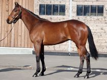 ����å��ǳ��������ɽ�����ޤ�