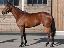 ����å��ǳ��������ɽ�����ޤ�