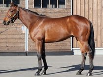 ����å��ǳ��������ɽ�����ޤ�