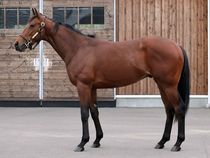 ����å��ǳ��������ɽ�����ޤ�