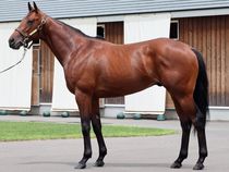 ����å��ǳ��������ɽ�����ޤ�