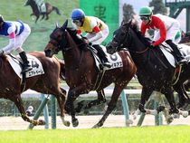 ����å��ǳ��������ɽ�����ޤ�