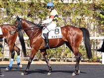 ����å��ǳ��������ɽ�����ޤ�