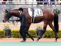 ����å��ǳ��������ɽ�����ޤ�