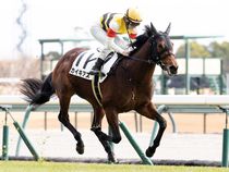 ����å��ǳ��������ɽ�����ޤ�