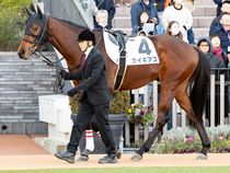 ����å��ǳ��������ɽ�����ޤ�