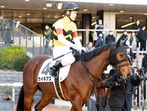 ����å��ǳ��������ɽ�����ޤ�