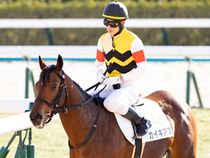 ����å��ǳ��������ɽ�����ޤ�