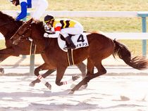 ����å��ǳ��������ɽ�����ޤ�