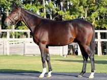 ����å��ǳ��������ɽ�����ޤ�