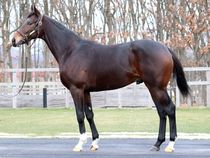 ����å��ǳ��������ɽ�����ޤ�