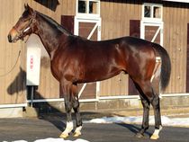 ����å��ǳ��������ɽ�����ޤ�