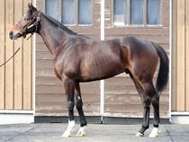 ����å��ǳ��������ɽ�����ޤ�