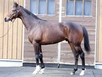 ����å��ǳ��������ɽ�����ޤ�