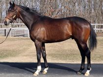 ����å��ǳ��������ɽ�����ޤ�